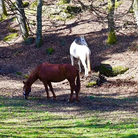 公寓 Quinta Da Quinta