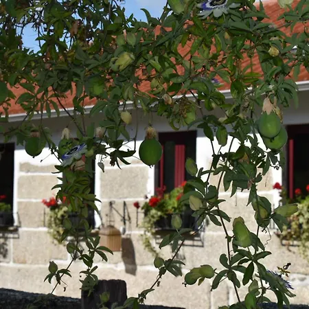 Quinta Da Quinta