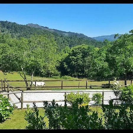 Quinta Da Quinta Apartment