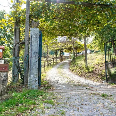 Quinta Da Quinta * Vieira do Minho