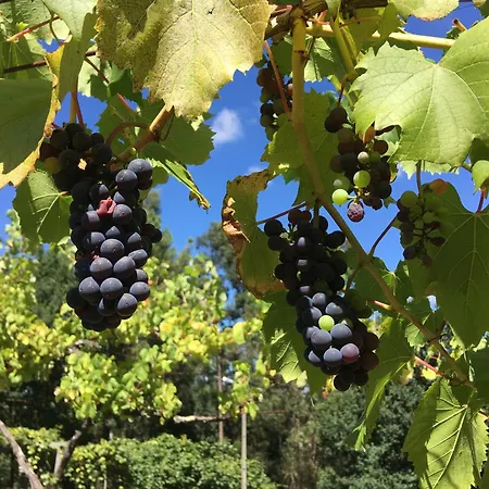 Quinta Da Quinta
