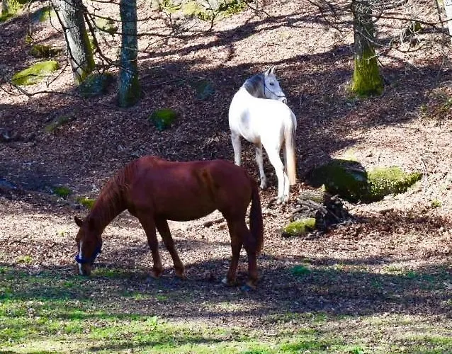 Appartamento Quinta Da Quinta